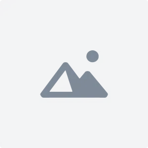 صورة البوابة